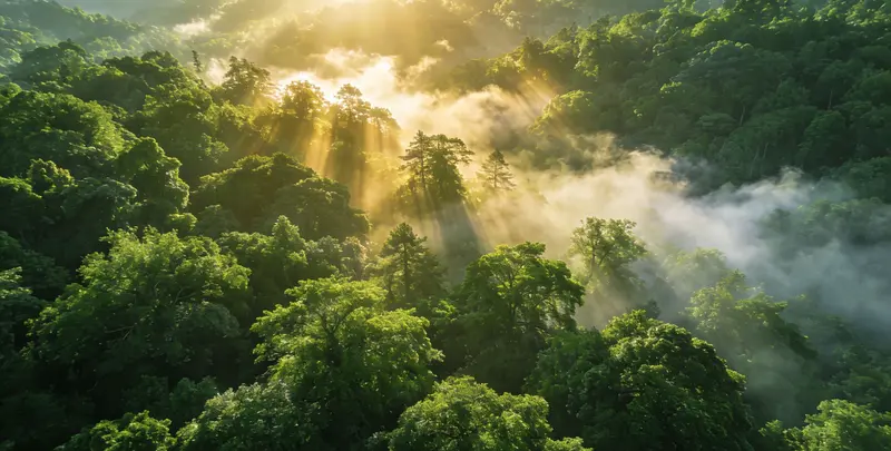 邵阳肺癌靶向120基因检测（组织）图片1