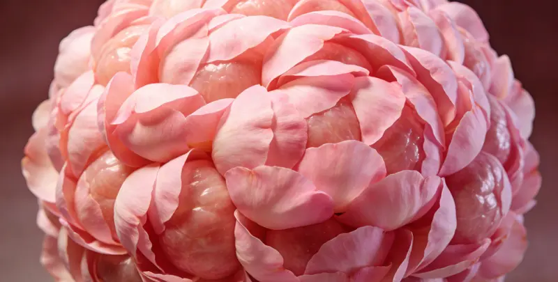 邵阳BRCA1/2乳腺癌卵巢癌基因检测图片1