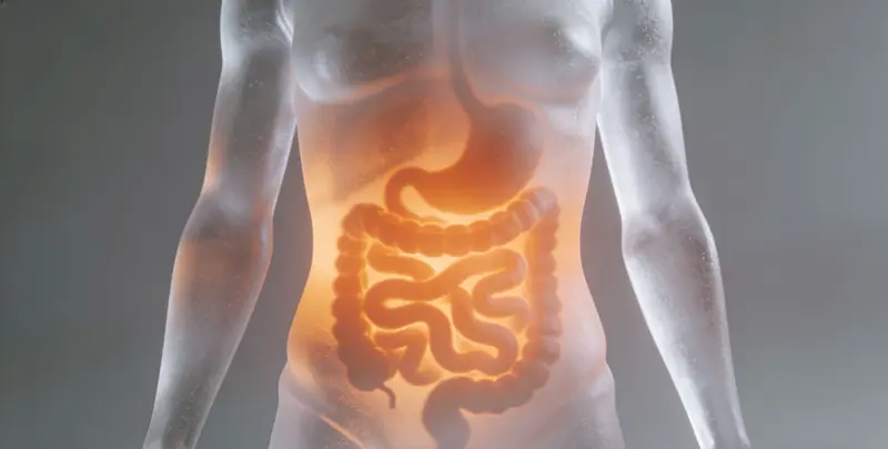 邵阳肠癌甲基化检测图片1